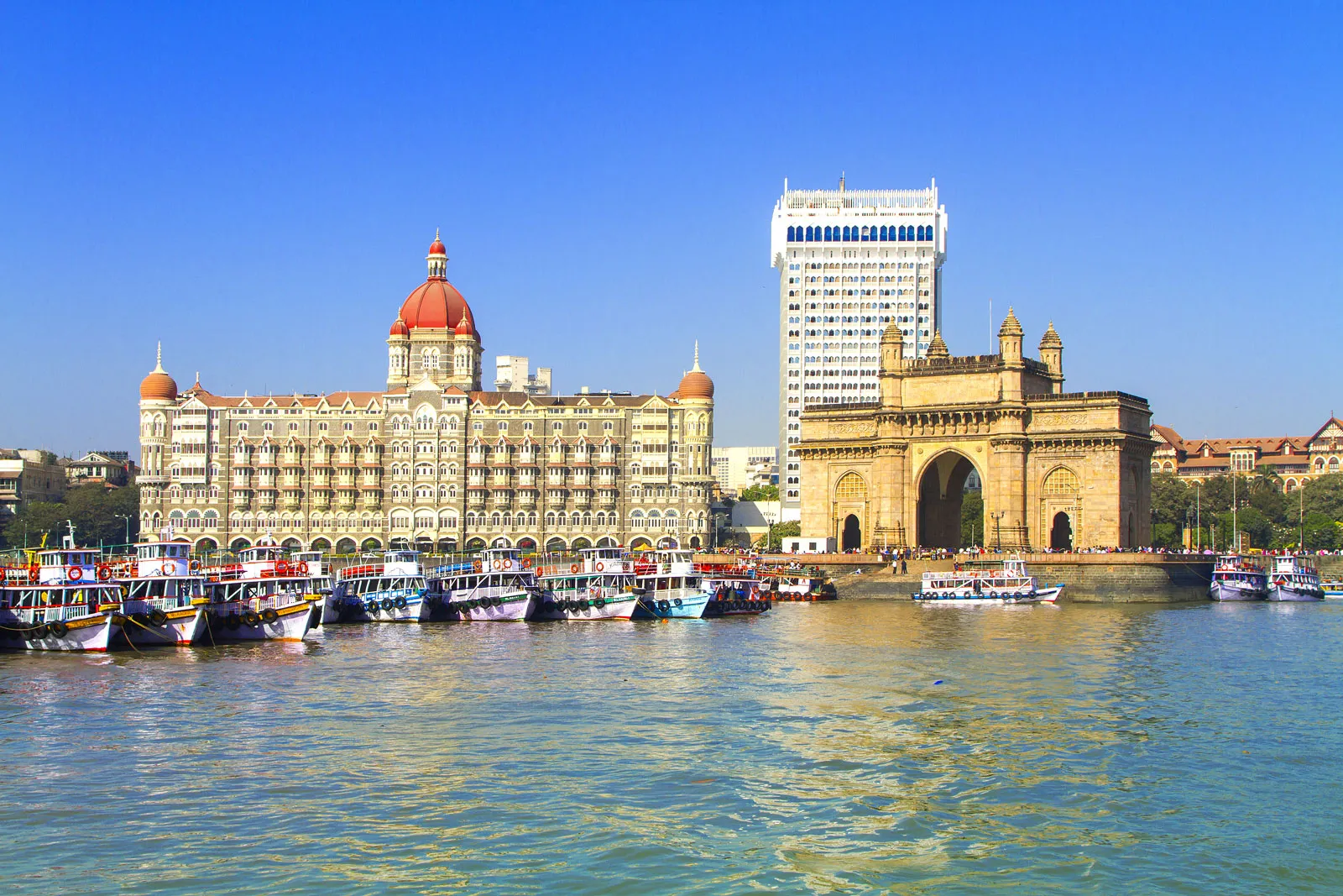 Pragathi IT Ads Mumbai Digital Marketing Specialists and Technical SEO Engineers